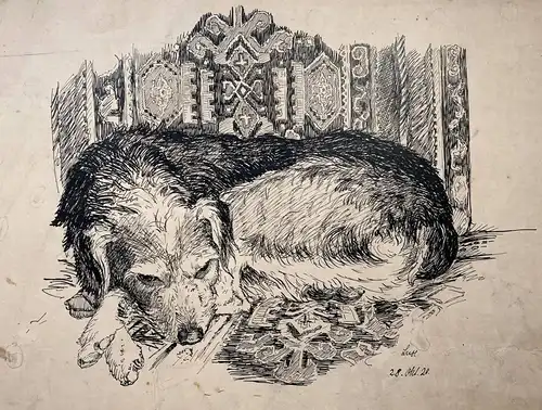 Lux - Schlafender Hund / sleeping dog / chien Hunde dogs