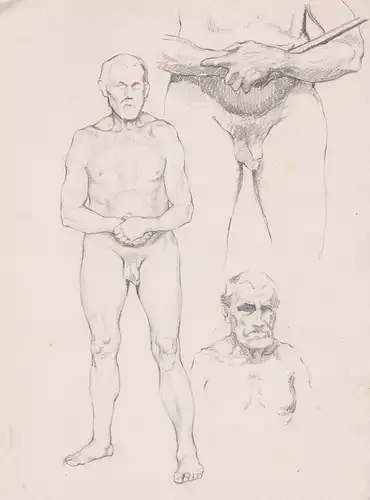 (Studienblatt mit älterem männlichen Akt) - male nude nudes Akte / Mann man / nu homme