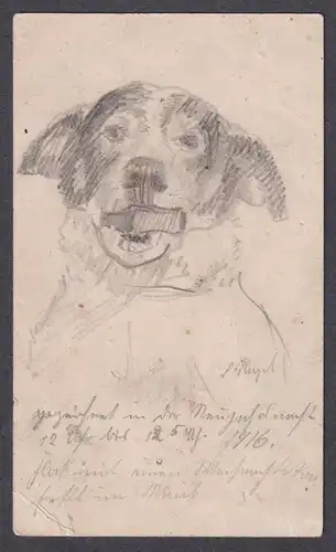 Hund dog chien / Brief letter autograph