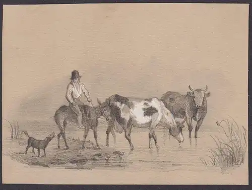 (Esel mit Reiter, Hund, Kühen im Fluss / Donkey with rider, dog, cattle in the river)
