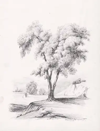 (Landschaft mit Baum / Landscape with tree) / Biedermeier