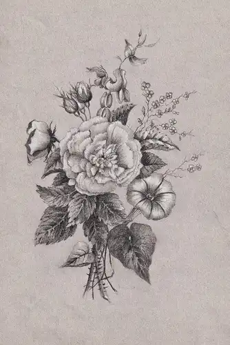(Blumenstrauß / Flower bouquet) - flowers Blumen Rosen roses / botanical Botanik botany