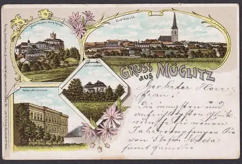 Gruss aus Müglitz - Altenberg Sachsen Schloss Zadlowitz Burg Mürau Ansichtskarte Postkarte AK postcard