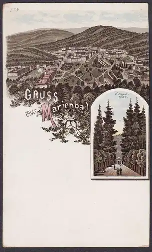 Gruss aus Marienbad - Marianske Lazne Waldquell-Allee Böhmen Bohemia Czech Cechy Cesko Tschechien Ansichtskart