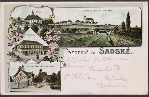 Podrav ze Sadske - Sadska Böhmen Bohemia Czech Cechy Cesko Tschechien Ansichtskarte Postkarte AK postcard