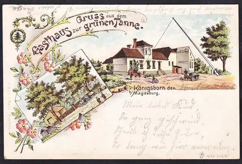 Gruss aus dem Gasthaus zur grünen Tanne - Königsborn bei Magdeburg Ansichtskarte Postkarte AK postcard