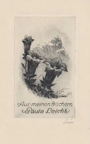 Aus meinen Büchern  Paula Leicht - Exlibris Radierung engraving bookplate Ex Libris