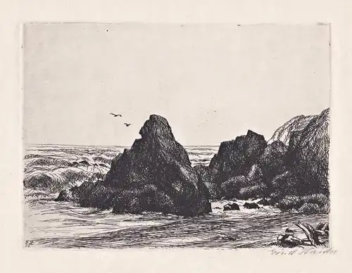(Felsenküste / Rocky coastal landscape) - Meer sea seascape