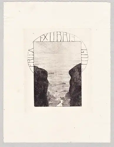 Ex Libris Erica Gilli - Exlibris ex-libris Ex Libris bookplate