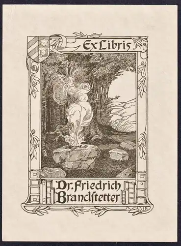 Ex Libris Dr. Friedrich Brandstetter - Feuer fire Jugendstil Wappen Exlibris ex-libris Ex Libris bookplate