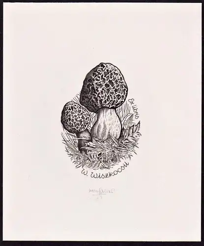 Ex Libris W. Wiszkocsil - Pilze mushrooms Exlibris ex-libris Ex Libris bookplate