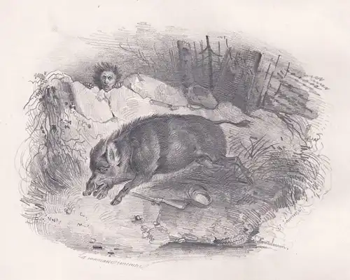 Wildschwein wild boar Jäger hunter Jagd hunting / Zeichnung drawing dessin