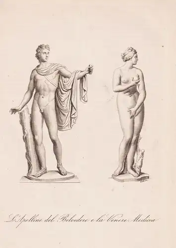 L'Apolline del Belverdere e la Venere Medicea - Apollo von Belvedere Venus Medici / sculptures Skulpturen / an