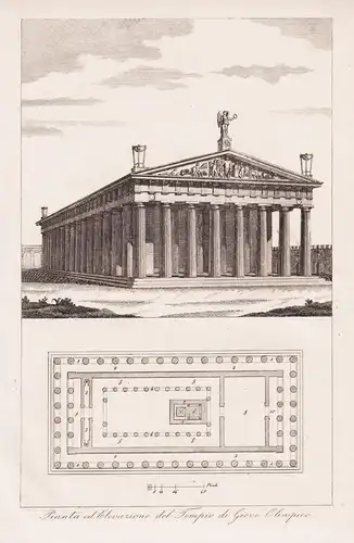 Pianta ed Elevazione del Tempio di Giove Olimpico - Parthenon Athens Athen / Greece Griechenland / architectur