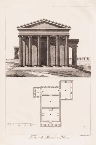 Tempio di Minerva Poliade - Temple of Athena Polias / Greece Griechenland / architecture Architektur