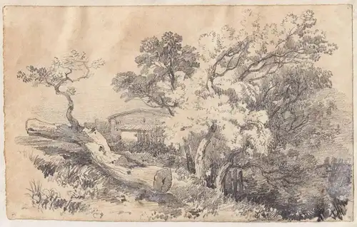Landschaft mit Bäumen und Bauernhof Landscape with trees and farm Zeichnung drawing dessin