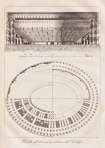 Pianta ed elevazione interna del Colosseo - Colosseum Kolosseum / architecture Architektur / Roma Rom Rome / P
