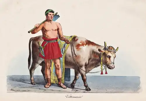 Vittimario - Vittimario Kuh cow Opfer sacrifice / ancient Rome Roman Empire / Römisches Reich