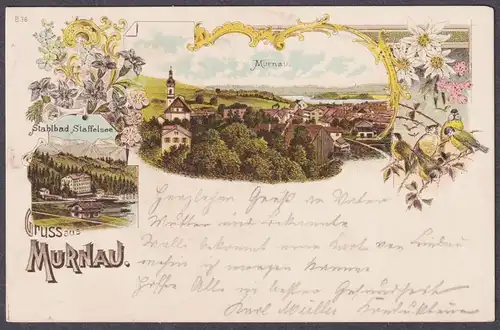 Gruss aus Murnau - Stahlbad Staffelsee - AK Ansichtskarte postcard