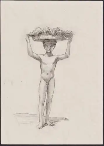 (Jüngling mit Obstschale / Young man with fruit bowl) - Zeichnung drawing dessin