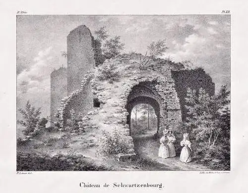 Chateau de Schwartzenbourg - Chateau de Schwarzenberg Griesbach-au-Val Munster / Alsace Elsass / Frankreich Fr