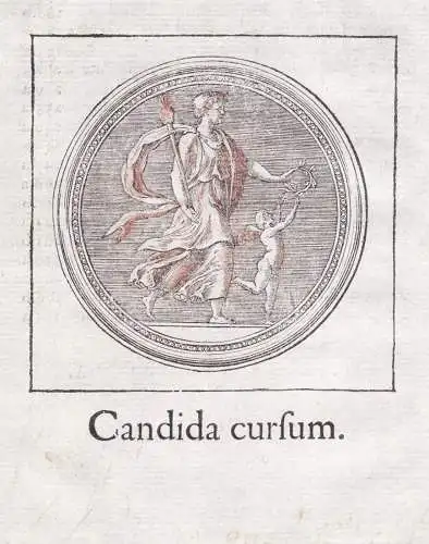 Candida cursum - toga candida ancient Rome Rom Roma / Roman Empire Römisches Reich / costume costums Tracht T