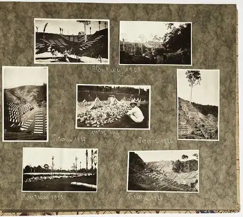 Ein Stückchen Deli - Assistentenhaus auf der Estate von Two Rivers / Album with 137 photos of the tobacco pla
