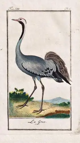 La Grue .. - Kran Kranich grue crane / Vogel bird Vögel birds oiseau oiseaux