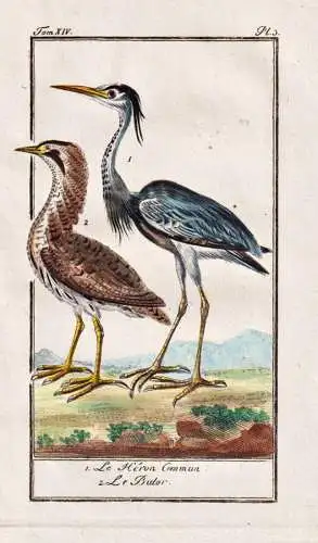 Le Heron Commun .. - Fischreiher Reiher heron / Vogel bird Vögel birds