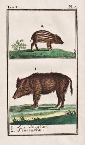 Le Sanglier .. - Wildschwein sanglier Keiler Schwein pig boar