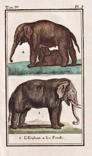 L'Elephant .. - Elefant elephant elephants