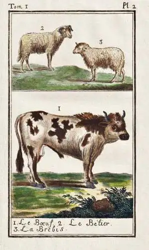 Le Boeuf .. - Ochse Rind boeuf Stier beef ox bull