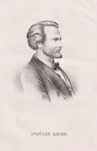 Dr. Jules Sachs - Julius Sachs (1832-1897) Botaniker botanist / Portrait / botanical Botanik Botany