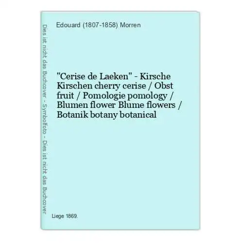 Cerise de Laeken - Kirsche Kirschen cherry cerise / Obst fruit / Pomologie pomology / Blumen flower Blume flow