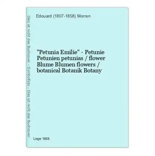 Petunia Emilie - Petunie Petunien petunias / flower Blume Blumen flowers / botanical Botanik Botany
