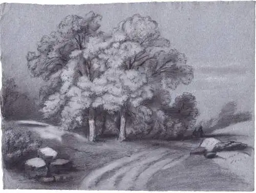 (Landschaft mit Bäumen / landscape with trees) - Zeichnung dessin drawing
