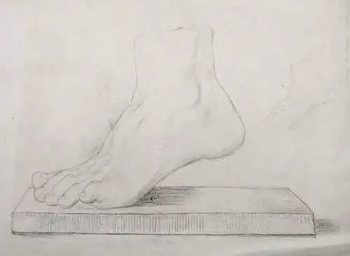 (Fuß foot) - Zeichnung dessin drawing