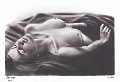 Akt / Aktzeichnung / Frau / woman / femme / nude / Zeichnung dessin drawing