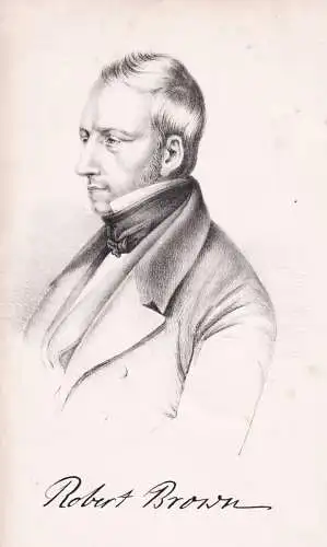 Robert Brown - (1773-1858) Botaniker botanist / Portrait / botanical Botanik Botany