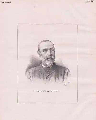 George Nicholson - (1874-1908) English botanist and horticulturist Gärtner Botaniker / Portrait / botanical B
