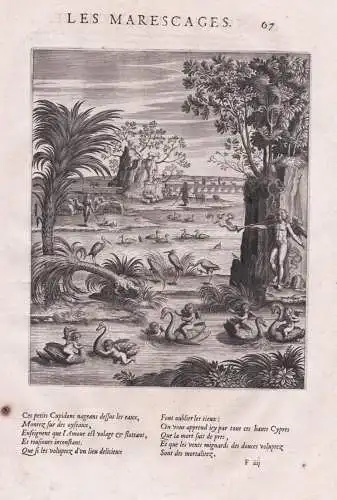 Les marescages- Sumpfgebiete Swamps Cupid Eros Amor / Mythology Mythologie