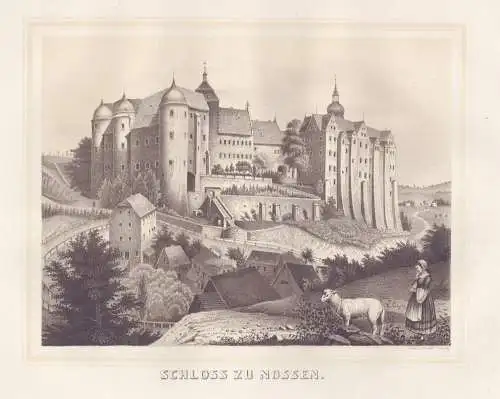 Schloss zu Nossen - Schloss Nossen / Sachsen