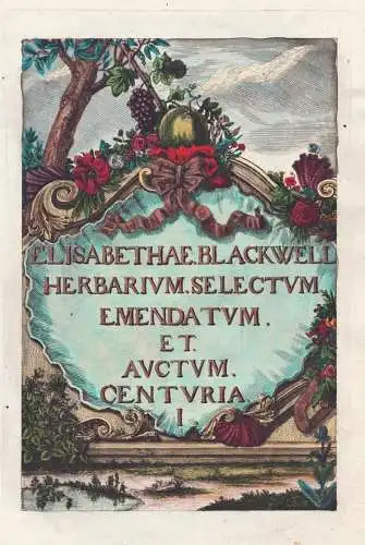 Elisabethea Blackwell Herbarium Selectum Emendatum et Auctum Centuria I - Titelblatt Titel title page botanica