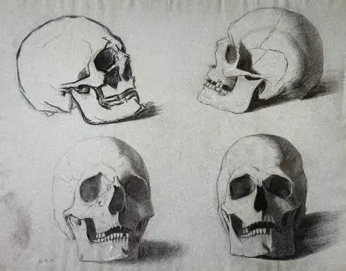 (Vier Totenköpfe / Four skulls) / Studien study