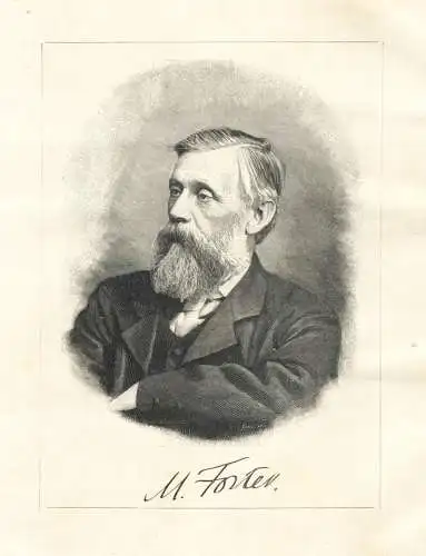 M. Forster - Professor Michael Forster (1836-1907) Portrait Mediziner Arzt Botaniker botanist