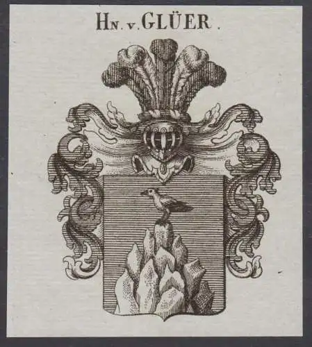 Hn. v. Glüer - Wappen Adel