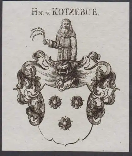 Hn. v. Kotzebue - Wappen Adel