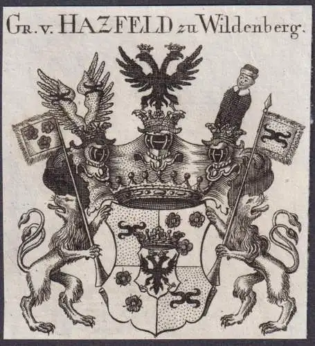 Gr. v. Hazfeld zu Wildenberg -  Wappen Adel