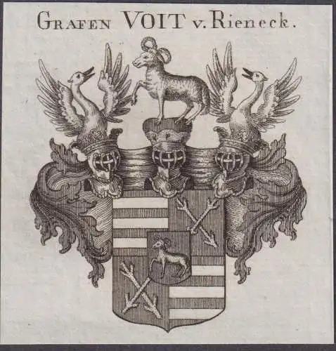 Grafen Voit v. Rieneck -  Wappen Adel