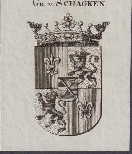 Gr. v. Schagken -  Wappen Adel